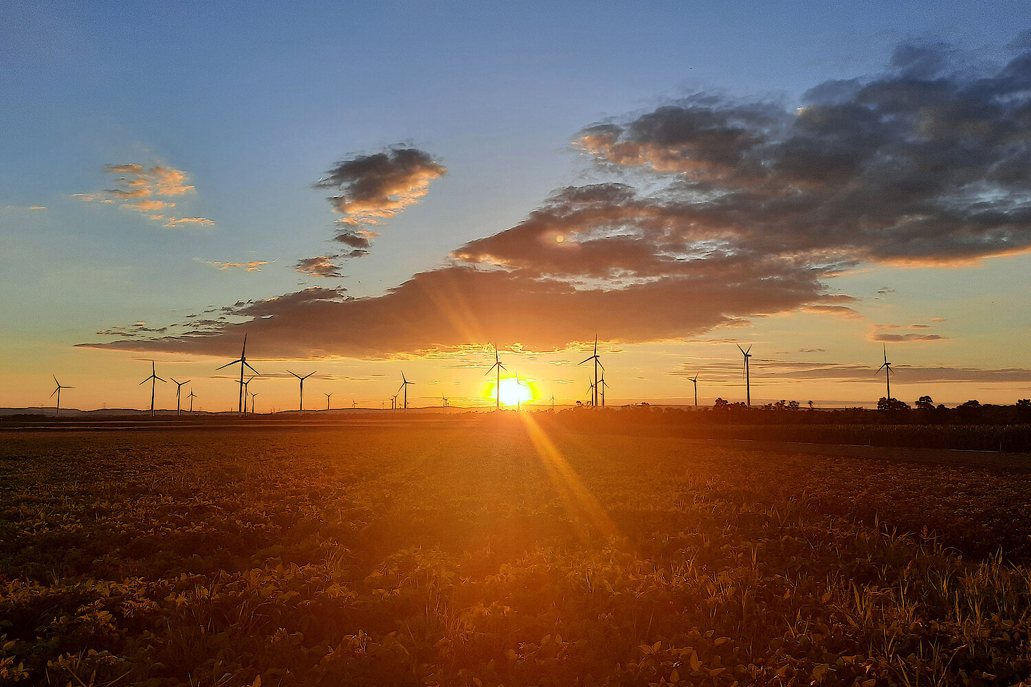 Foto Windräder im Sonnenuntergang