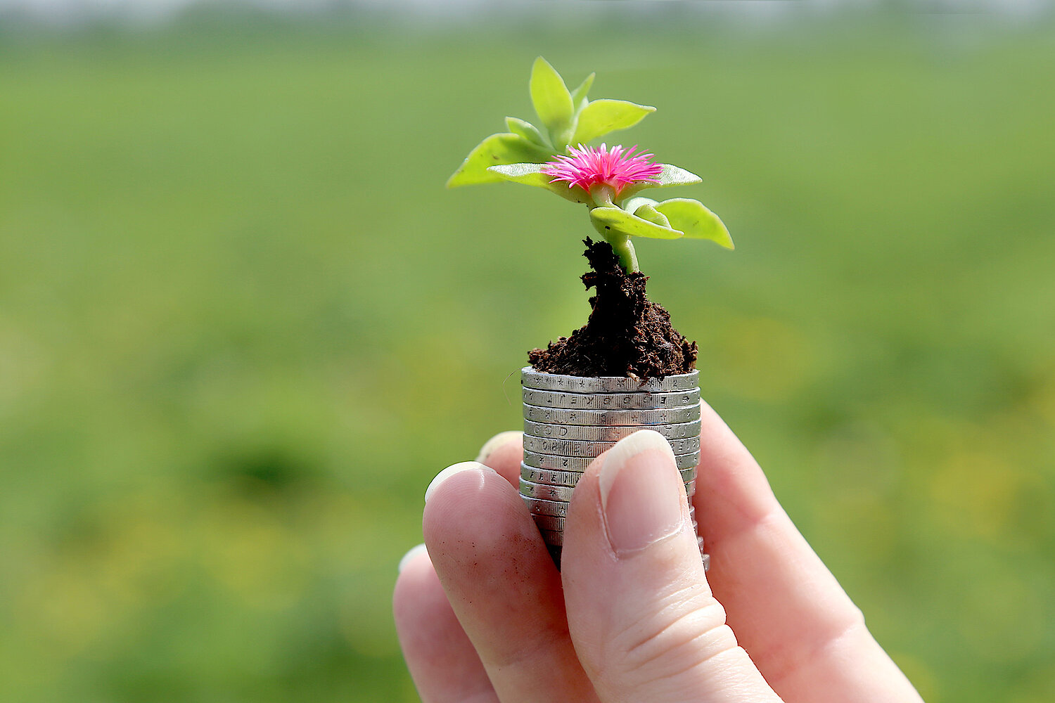 Foto Green Finance