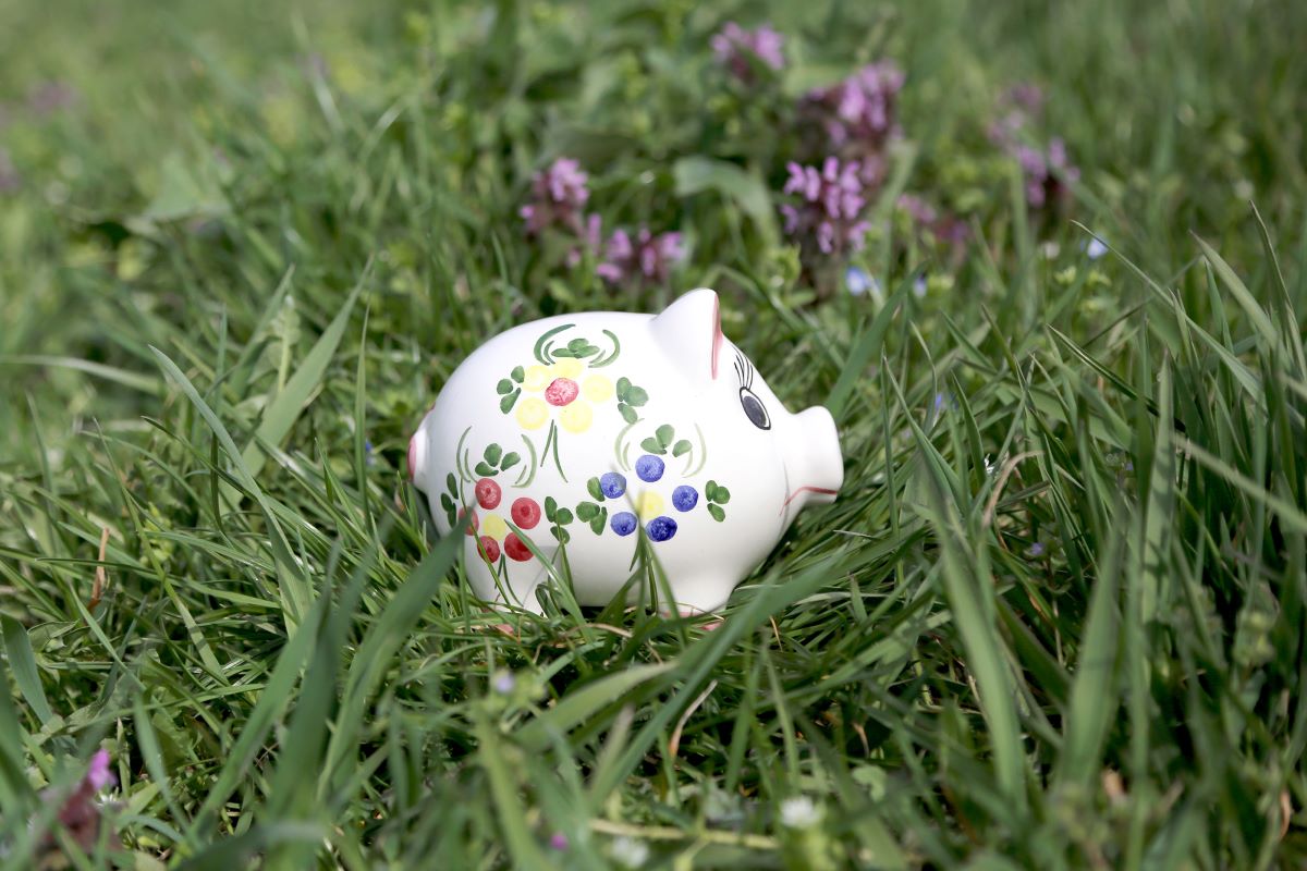 buntbemaltes Sparschein auf grüner Wiese